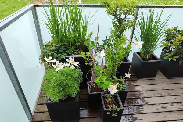 terrasse2